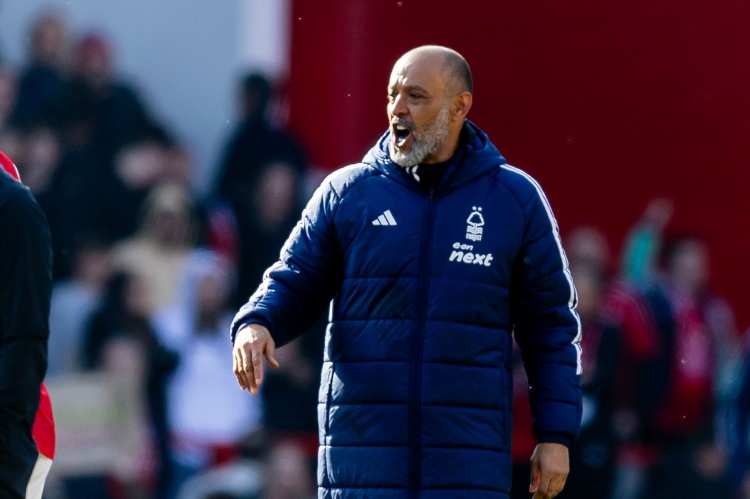 桑托与球队 桑托与球队