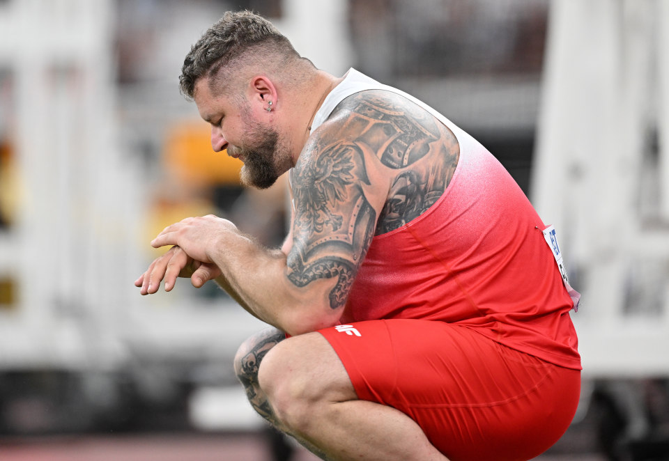 dzNvF, 豪拉斯在比, https