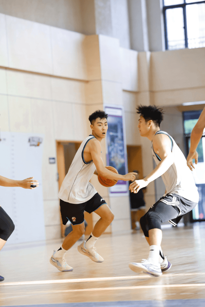 广州男篮分, 广州男篮官