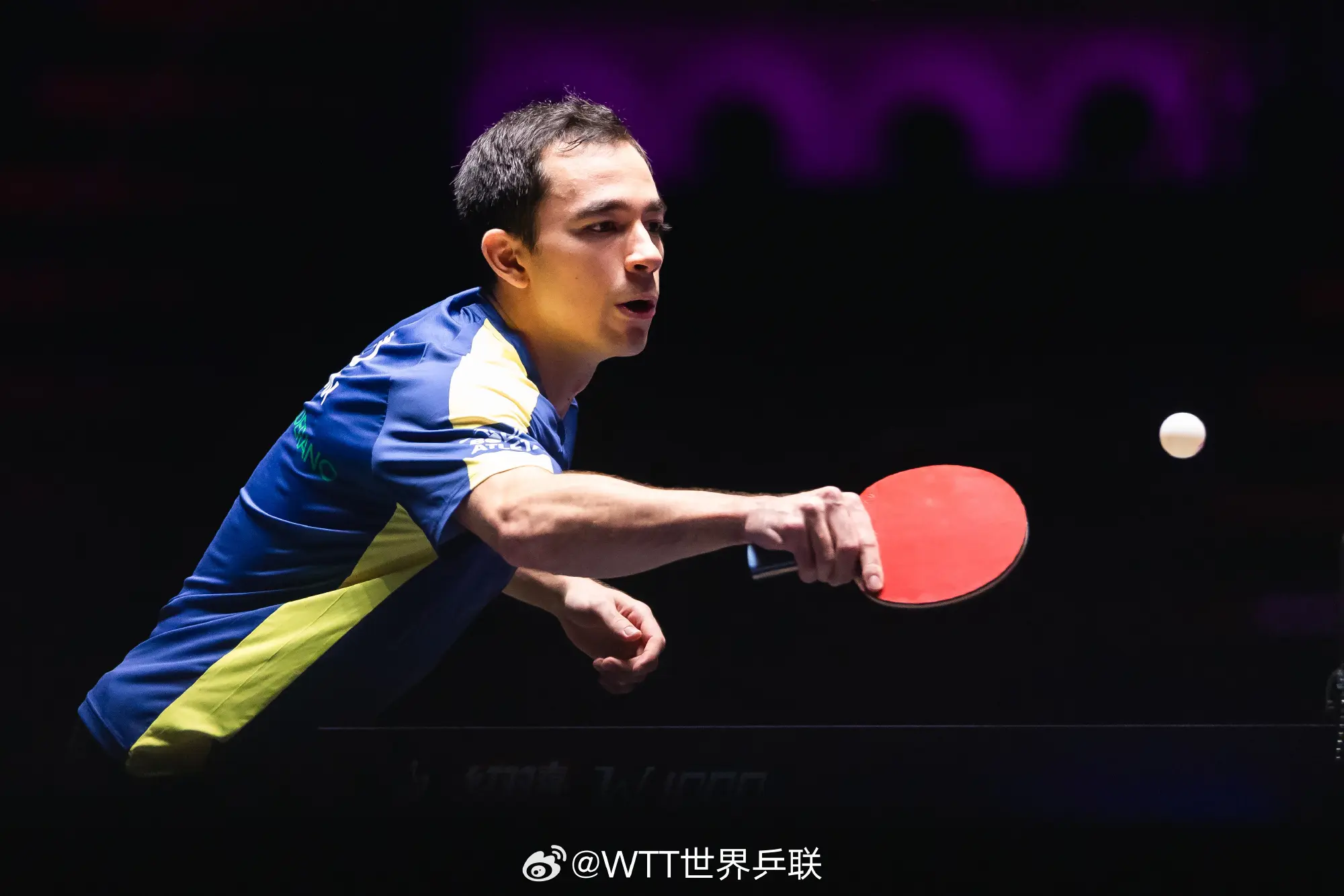 国乒包揽双 国乒包揽双