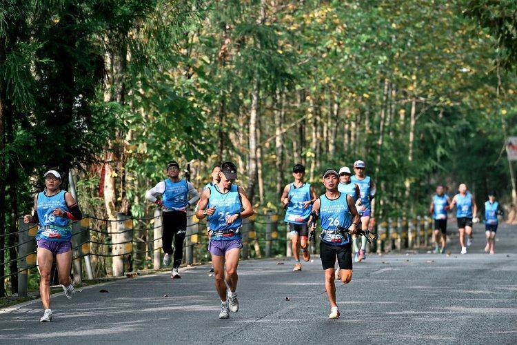 任彭爱琴介 任彭爱琴介